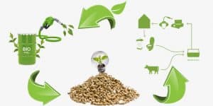 The Biomass Energy Industry