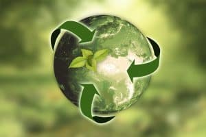 Companies Can Move Towards Sustainability