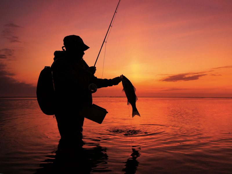 Sunset Striper Barnegat Bay 800x600 1