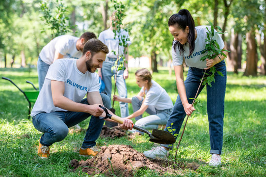 Tree Planting