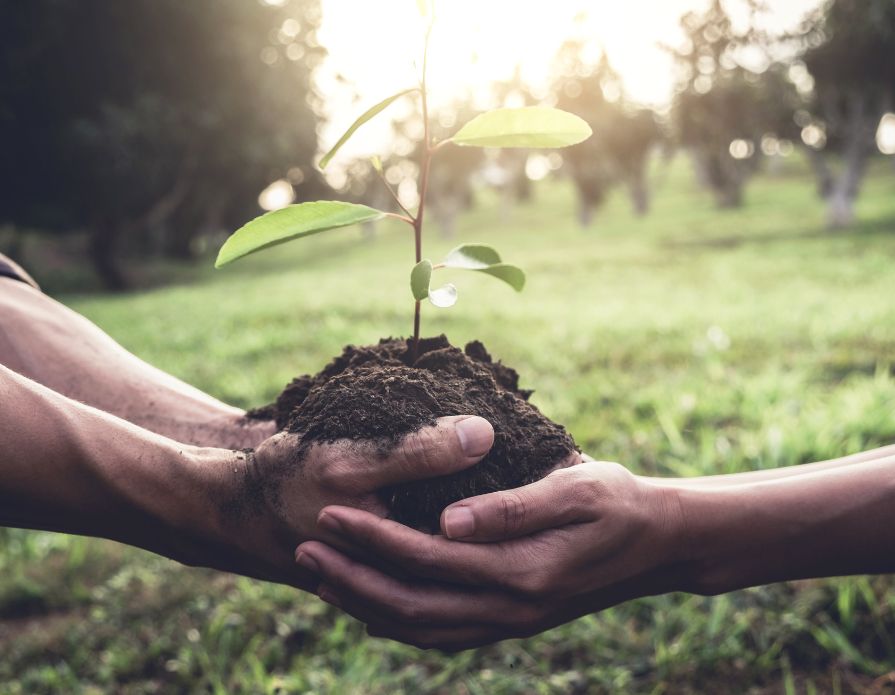 Ways Holding Tanks Are Helping The Environment