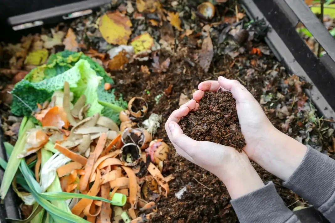 Becoming A Champion Composter