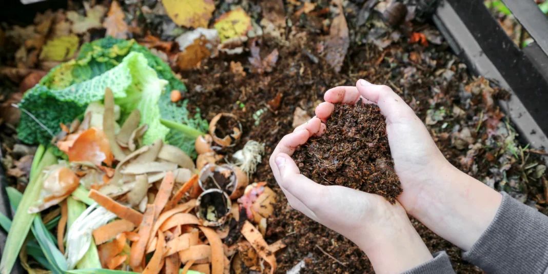 Sustainable Composting At Home