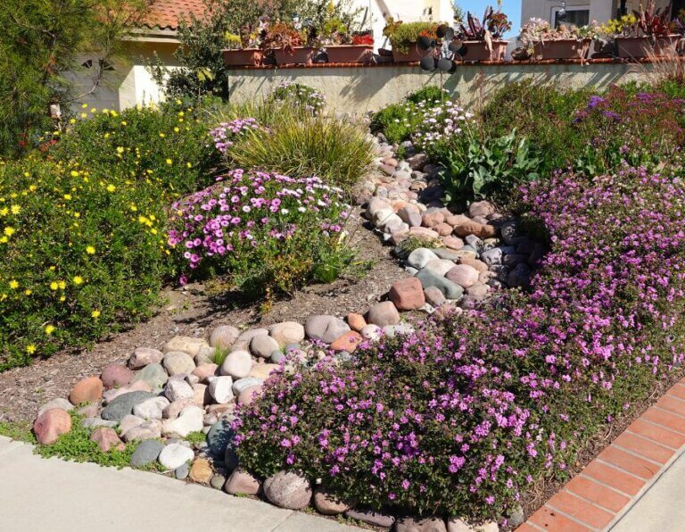 Sustainable Drought-Resistant Yards