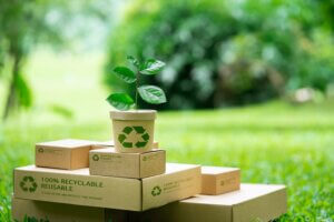 Sustainable Packaging Solutions