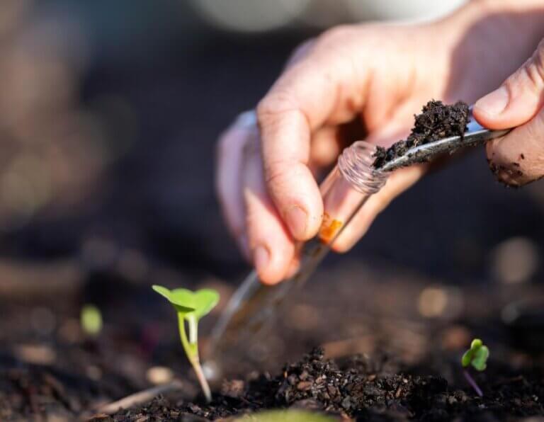 Sustainable Farming Practices for Soil